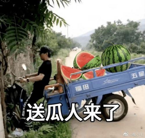 吃瓜71,一场全民参与的娱乐盛宴