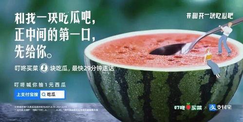 大型吃瓜新闻视频,一场视觉盛宴背后的真相与笑料